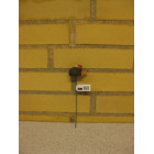 Pindsvin på pind med svamp