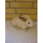 Hare