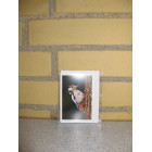 Kort 10,5 x 7,5