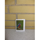 Kort 10,5 x 7,5