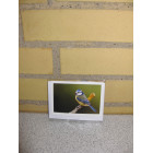 Kort 10,5 x 7,5