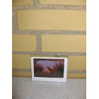 Kort 10,5 x 7,5
