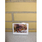 Kort 10,5 x 7,5