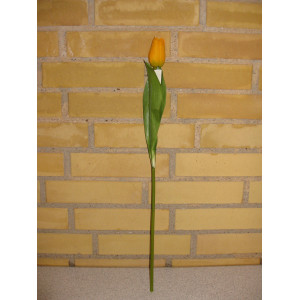 https://www.gave-boden.dk/2163-2206-thickbox/tulipan-orange.jpg