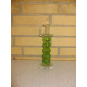 Glas stage lime