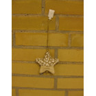 Juleophæng stjerne