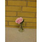 Glasvase med rose rosa