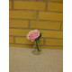 Glasvase med rose rosa