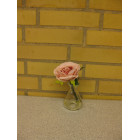 Glasvase med rose lyserød