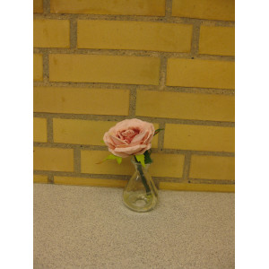 https://www.gave-boden.dk/2656-2699-thickbox/glasvase-med-rose-lyserod.jpg