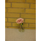 Glasvase med rose lyserød